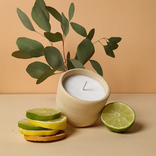 Bergamot a cedrové dřevo
